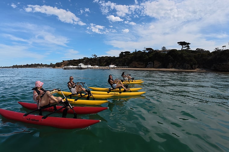 Group waterbiking in the Mornington Peninsula
