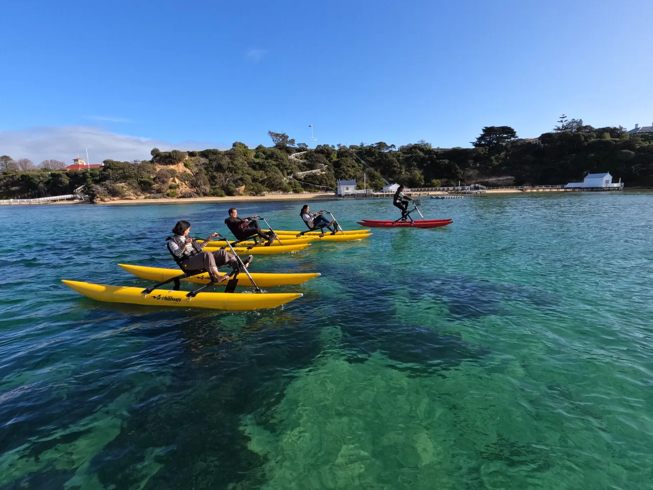 Group waterbiking in the Mornington Peninsula